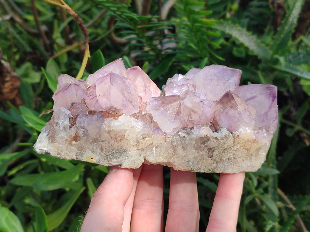 Natural Sunburst Spirit Amethyst Crystal Clusters x 3 From Boekenhouthoek, South Africa - Toprock Gemstones and Minerals 