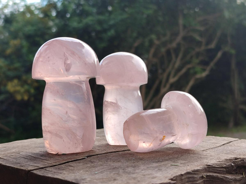 Polished Gemmy Rose Quartz Mushrooms x 6 From Madagascar - Toprock Gemstones and Minerals 