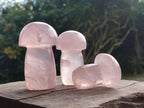 Polished Gemmy Rose Quartz Mushrooms x 6 From Madagascar - Toprock Gemstones and Minerals 