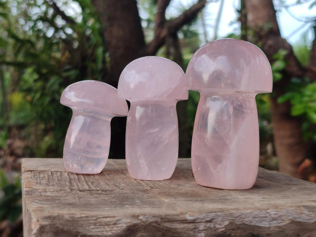 Polished Gemmy Rose Quartz Mushrooms x 6 From Madagascar - Toprock Gemstones and Minerals 