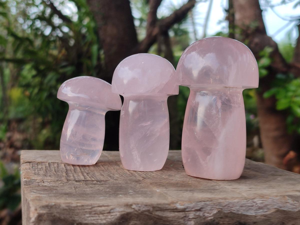 Polished Gemmy Rose Quartz Mushrooms x 6 From Madagascar - Toprock Gemstones and Minerals 