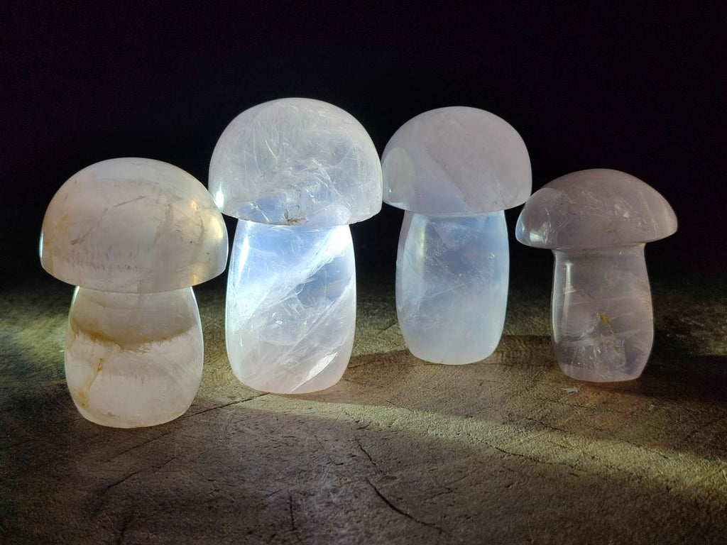Polished Gemmy Rose Quartz Mushrooms x 6 From Madagascar - Toprock Gemstones and Minerals 