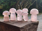 Polished Gemmy Rose Quartz Mushrooms x 6 From Madagascar - Toprock Gemstones and Minerals 