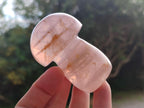 Polished Gemmy Rose Quartz Mushrooms x 6 From Madagascar - Toprock Gemstones and Minerals 
