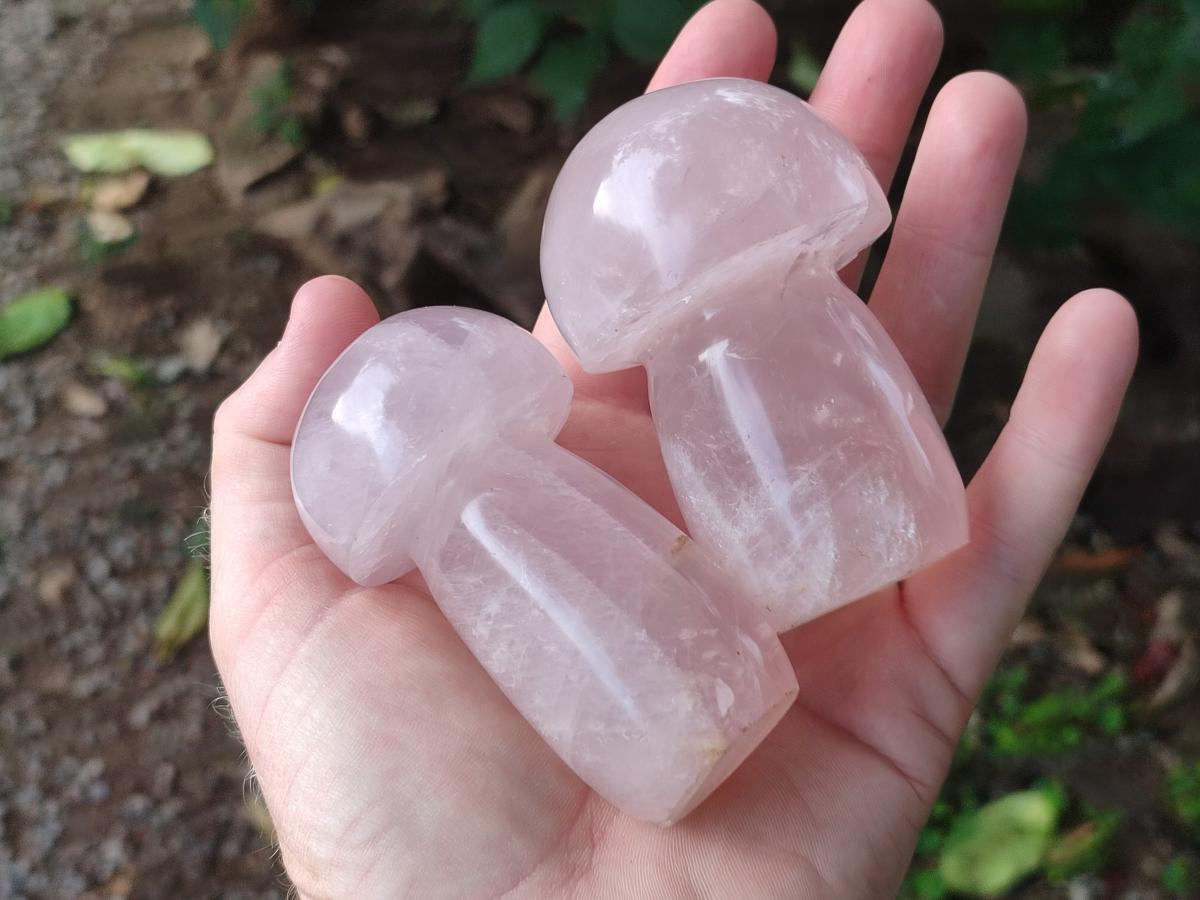 Polished Gemmy Rose Quartz Mushrooms x 6 From Madagascar - Toprock Gemstones and Minerals 