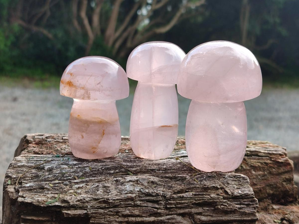 Polished Gemmy Rose Quartz Mushrooms x 6 From Madagascar - Toprock Gemstones and Minerals 
