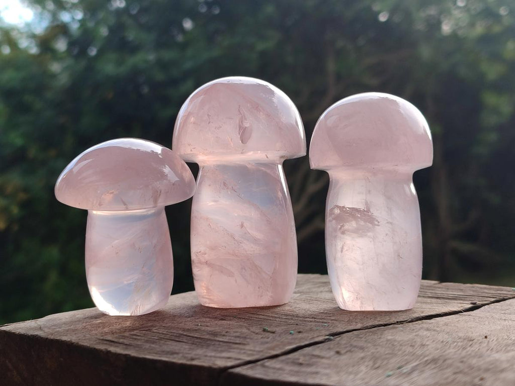 Polished Gemmy Rose Quartz Mushrooms x 6 From Madagascar - Toprock Gemstones and Minerals 