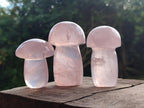 Polished Gemmy Rose Quartz Mushrooms x 6 From Madagascar - Toprock Gemstones and Minerals 