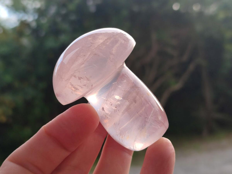 Polished Gemmy Rose Quartz Mushrooms x 6 From Madagascar - Toprock Gemstones and Minerals 