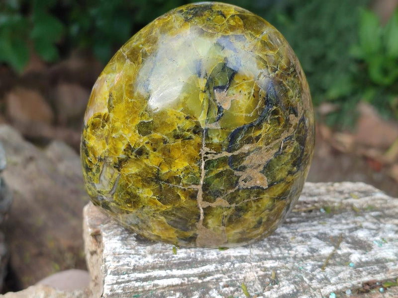 Polished Green Opal Standing Display Pieces x 2 From Betroka, Madagascar - Toprock Gemstones and Minerals 