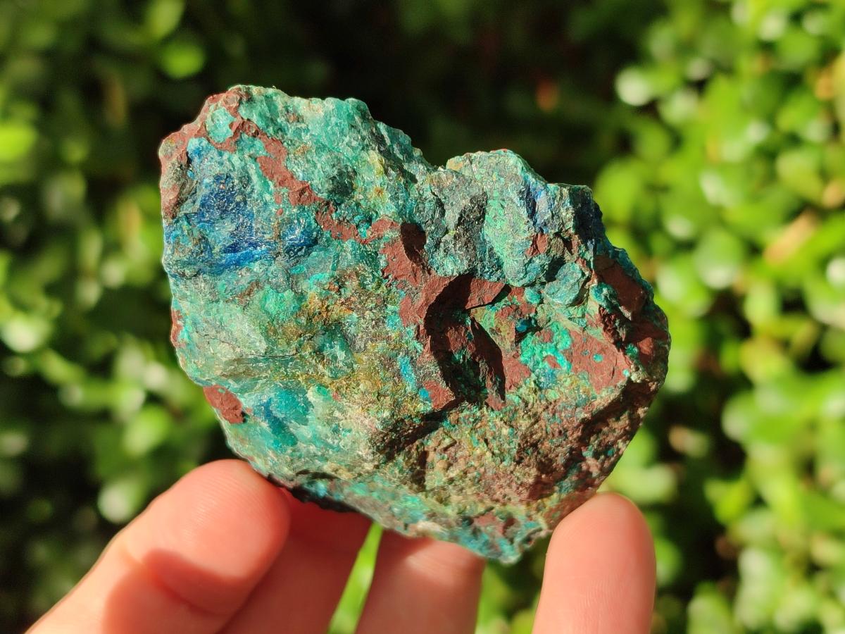 Natural Rough Shattuckite Specimens x 12 From Kaokoveld, Namibia - Toprock Gemstones and Minerals 