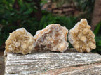 Natural Small Golden Limonite Quartz Crystal Cluster Plates x 35 From Solwezi, Zambia - Toprock Gemstones and Minerals 