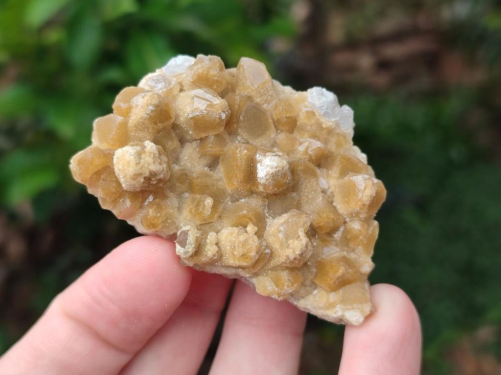 Natural Small Golden Limonite Quartz Crystal Cluster Plates x 35 From Solwezi, Zambia - Toprock Gemstones and Minerals 