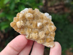 Natural Small Golden Limonite Quartz Crystal Cluster Plates x 35 From Solwezi, Zambia - Toprock Gemstones and Minerals 