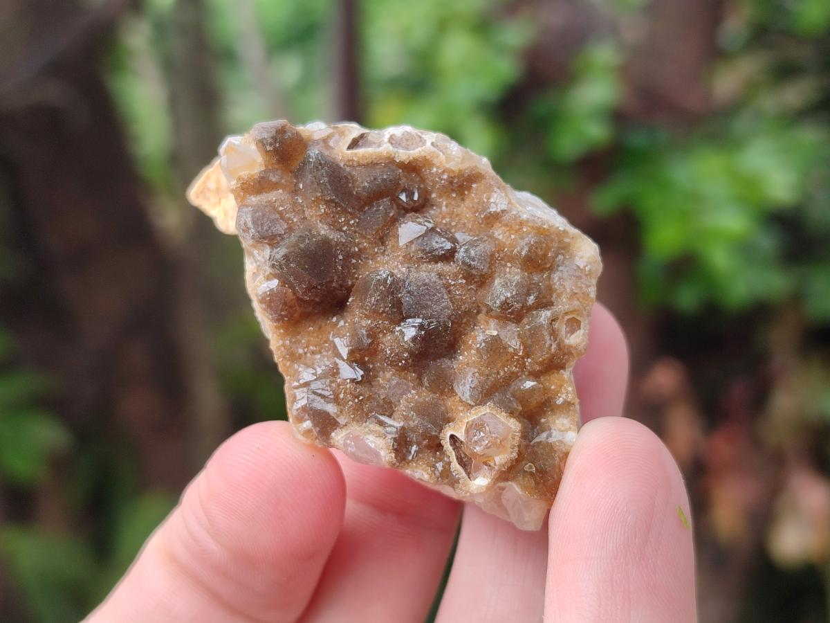 Natural Small Golden Limonite Quartz Crystal Cluster Plates x 35 From Solwezi, Zambia - Toprock Gemstones and Minerals 