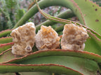 Natural Small Golden Limonite Quartz Crystal Cluster Plates x 35 From Solwezi, Zambia - Toprock Gemstones and Minerals 