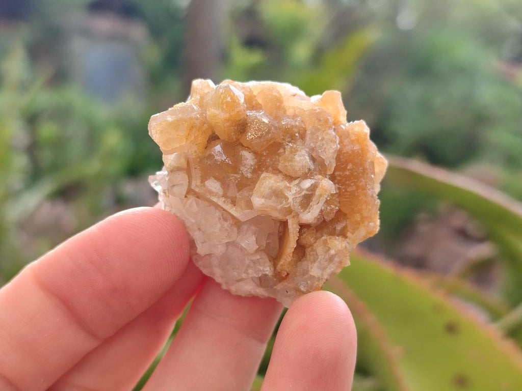Natural Small Golden Limonite Quartz Crystal Cluster Plates x 35 From Solwezi, Zambia - Toprock Gemstones and Minerals 