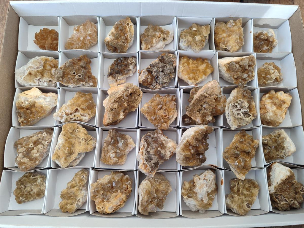 Natural Small Golden Limonite Quartz Crystal Cluster Plates x 35 From Solwezi, Zambia - Toprock Gemstones and Minerals 