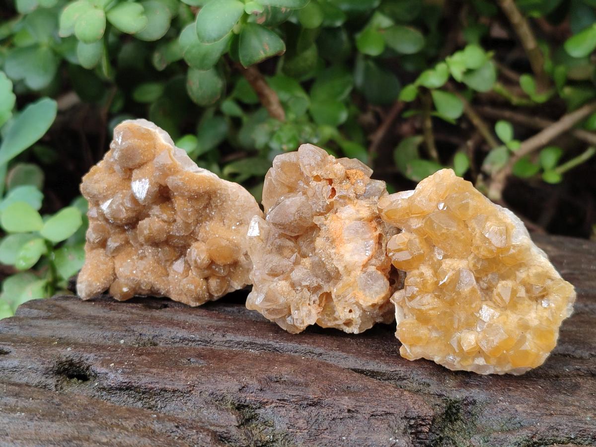 Natural Small Golden Limonite Quartz Crystal Cluster Plates x 35 From Solwezi, Zambia - Toprock Gemstones and Minerals 