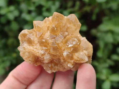 Natural Small Golden Limonite Quartz Crystal Cluster Plates x 35 From Solwezi, Zambia - Toprock Gemstones and Minerals 