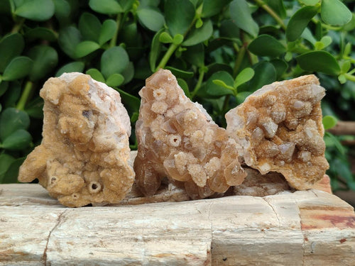 Natural Small Golden Limonite Quartz Crystal Cluster Plates x 35 From Solwezi, Zambia - Toprock Gemstones and Minerals 