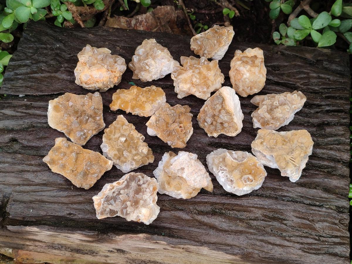 Natural Small Golden Limonite Quartz Crystal Cluster Plates x 35 From Solwezi, Zambia - Toprock Gemstones and Minerals 