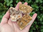 Natural Small Golden Limonite Quartz Crystal Cluster Plates x 35 From Solwezi, Zambia - Toprock Gemstones and Minerals 
