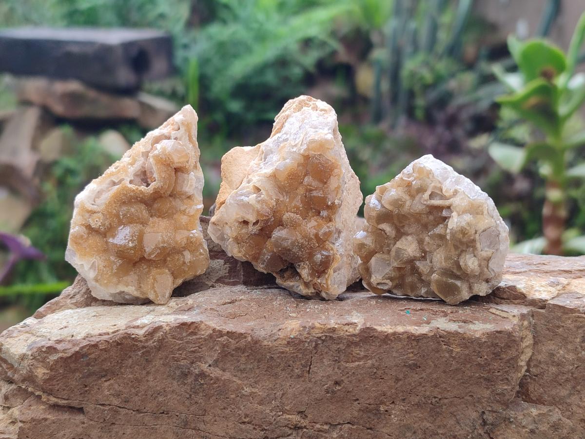 Natural Small Golden Limonite Quartz Crystal Cluster Plates x 35 From Solwezi, Zambia - Toprock Gemstones and Minerals 