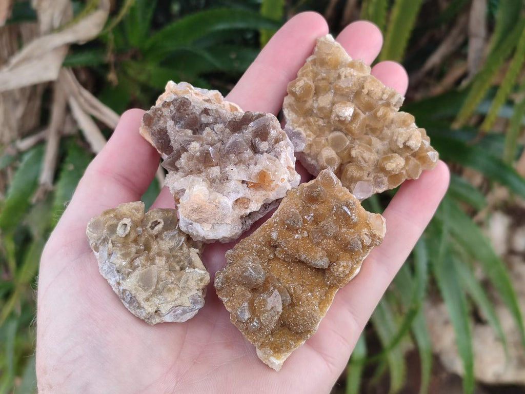 Natural Small Golden Limonite Quartz Crystal Cluster Plates x 35 From Solwezi, Zambia - Toprock Gemstones and Minerals 