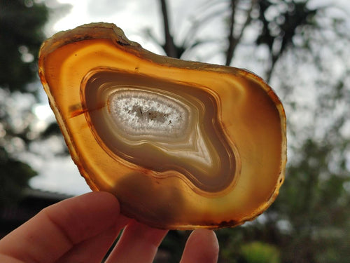 Polished Banded Agate Slices x 12 From Madagascar - Toprock Gemstones and Minerals 