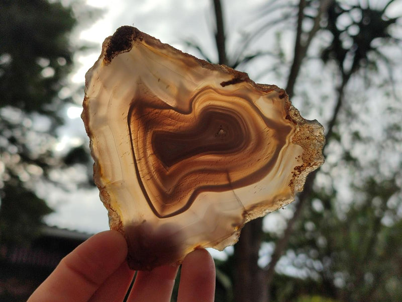 Polished Banded Agate Slices x 12 From Madagascar - Toprock Gemstones and Minerals 