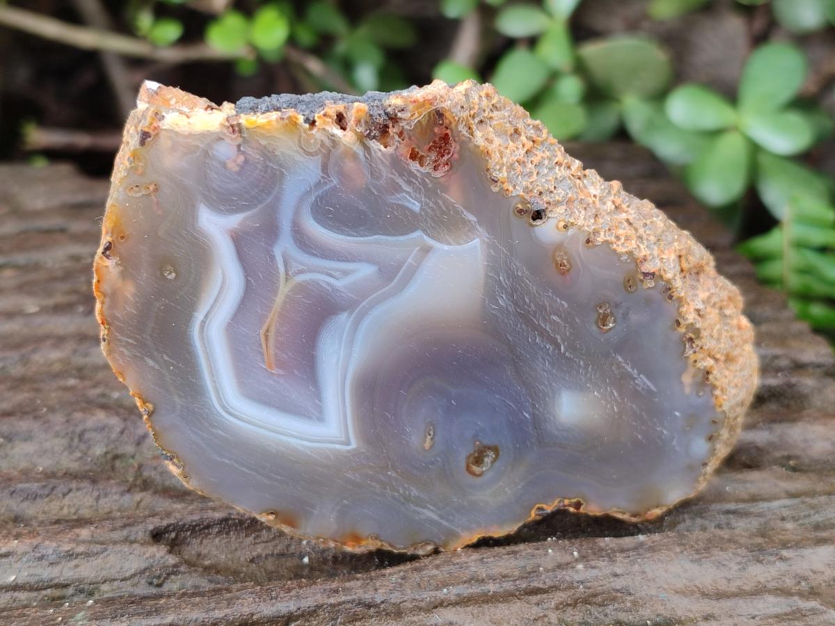 Polished Banded Agate Slices x 12 From Madagascar - Toprock Gemstones and Minerals 