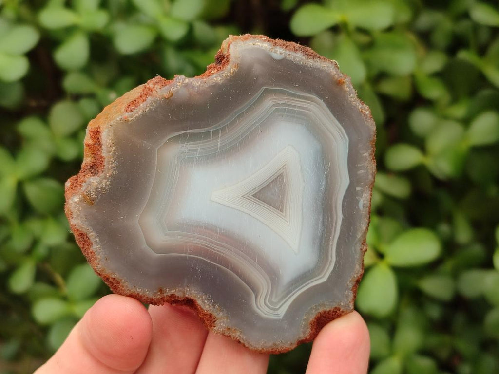 Polished Banded Agate Slices x 12 From Madagascar - Toprock Gemstones and Minerals 