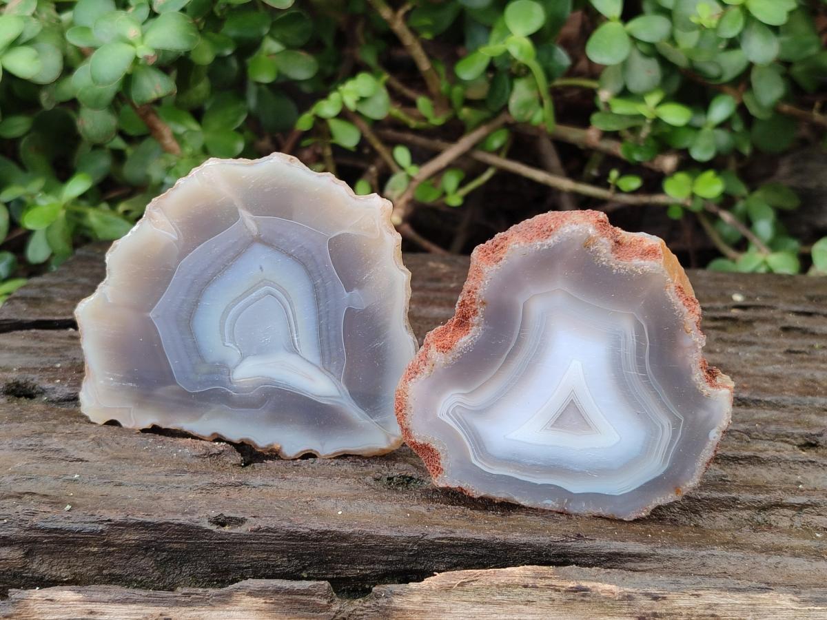 Polished Banded Agate Slices x 12 From Madagascar - Toprock Gemstones and Minerals 