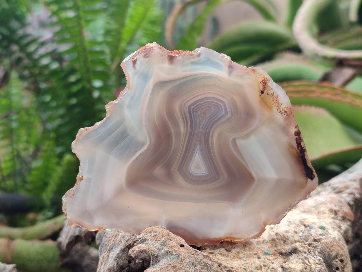 Polished Banded Agate Slices x 12 From Madagascar - Toprock Gemstones and Minerals 