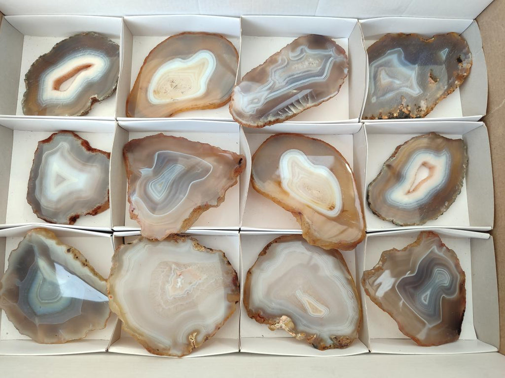 Polished Banded Agate Slices x 12 From Madagascar - Toprock Gemstones and Minerals 