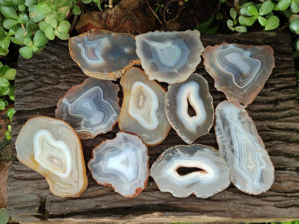 Polished Banded Agate Slices x 12 From Madagascar - Toprock Gemstones and Minerals 