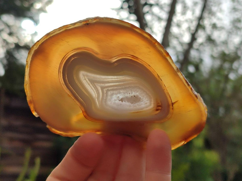 Polished Banded Agate Slices x 12 From Madagascar - Toprock Gemstones and Minerals 