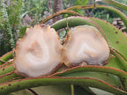 Polished Banded Agate Slices x 12 From Madagascar - Toprock Gemstones and Minerals 
