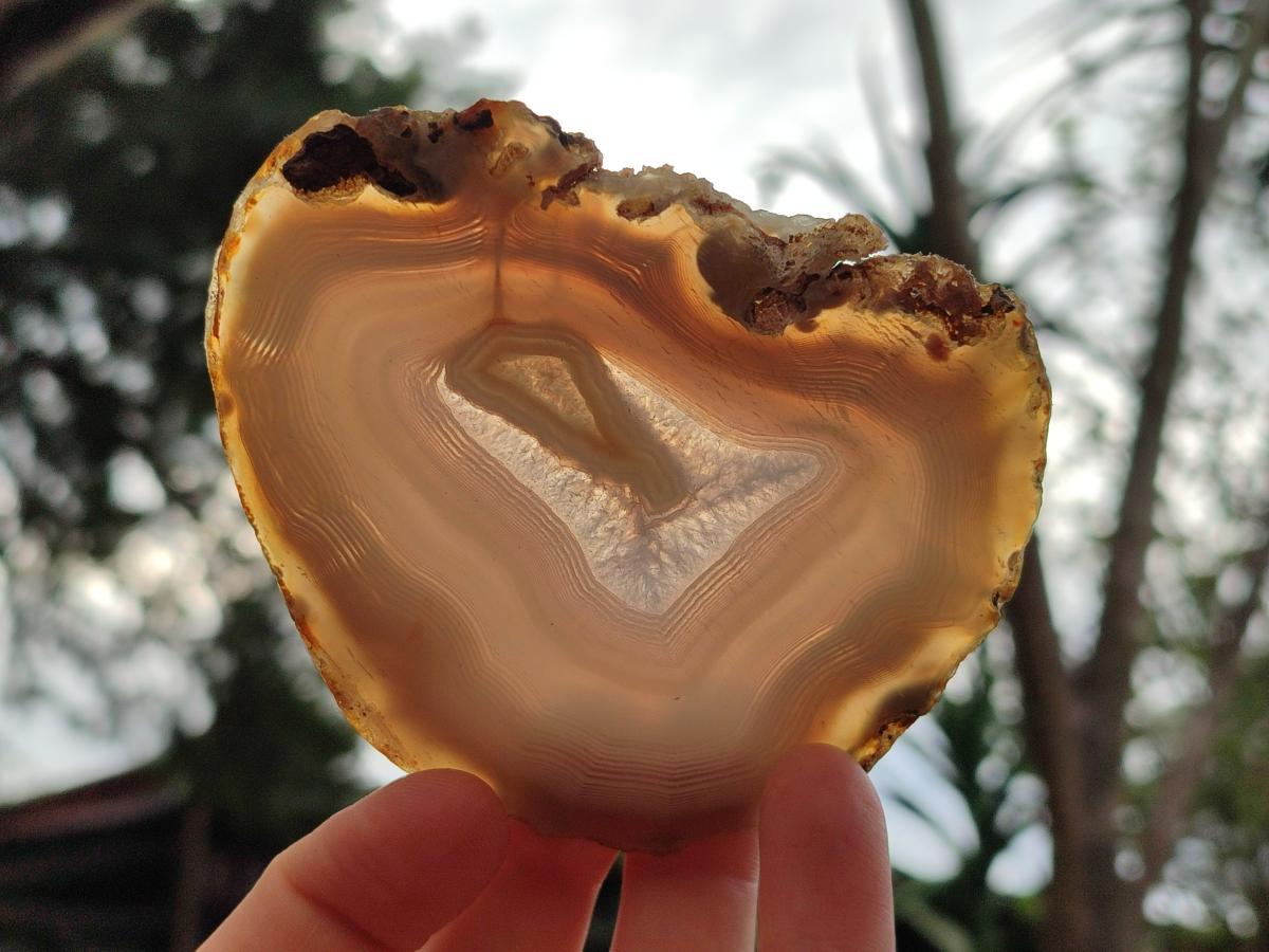 Polished Banded Agate Slices x 12 From Madagascar - Toprock Gemstones and Minerals 