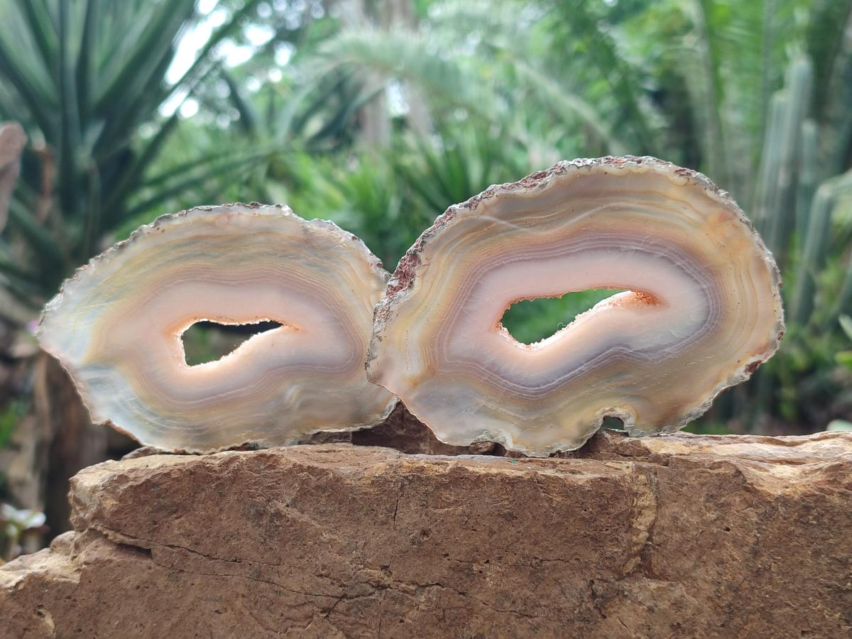 Polished Banded Agate Slices x 12 From Madagascar - Toprock Gemstones and Minerals 