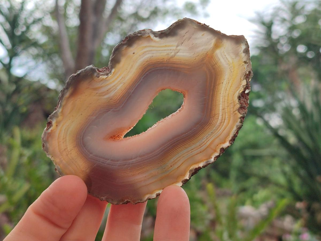 Polished Banded Agate Slices x 12 From Madagascar - Toprock Gemstones and Minerals 
