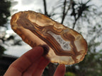 Polished Banded Agate Slices x 12 From Madagascar - Toprock Gemstones and Minerals 