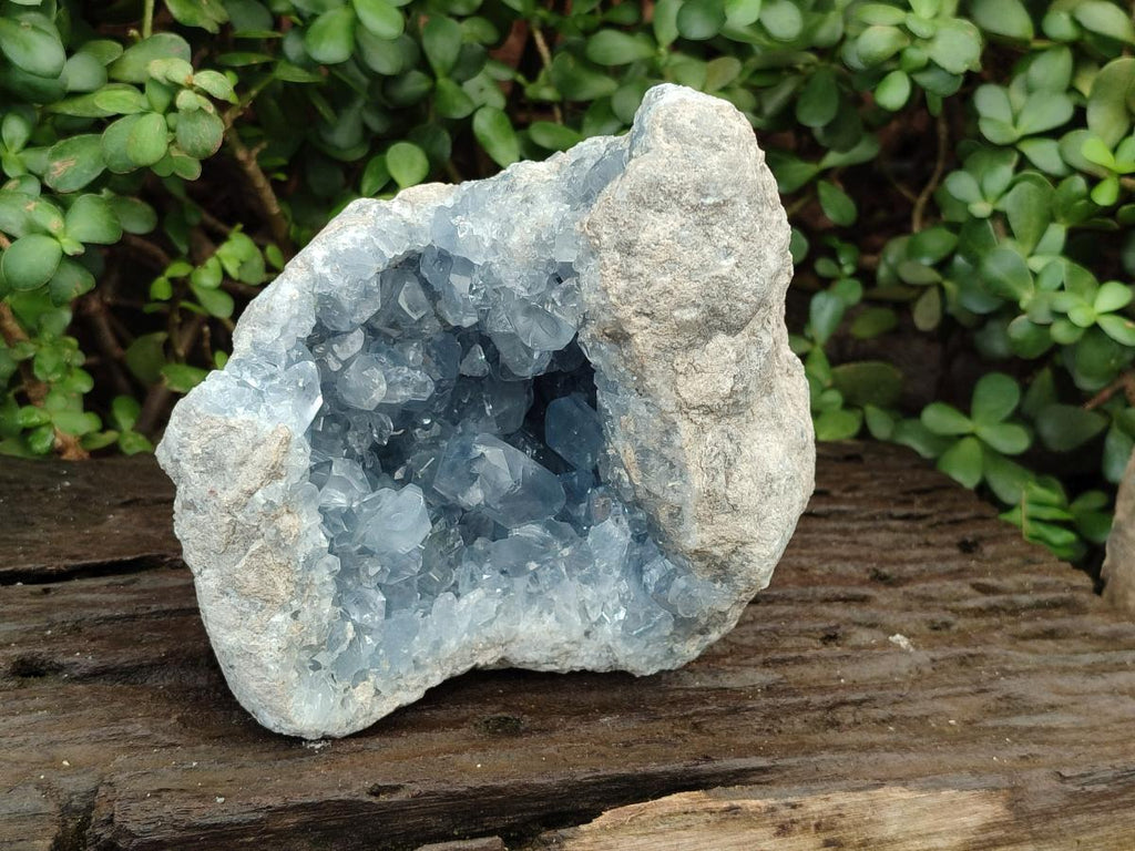 Natural Large Blue Celestite Geode Specimen x 1 From Sakoany, Madagascar - Toprock Gemstones and Minerals 