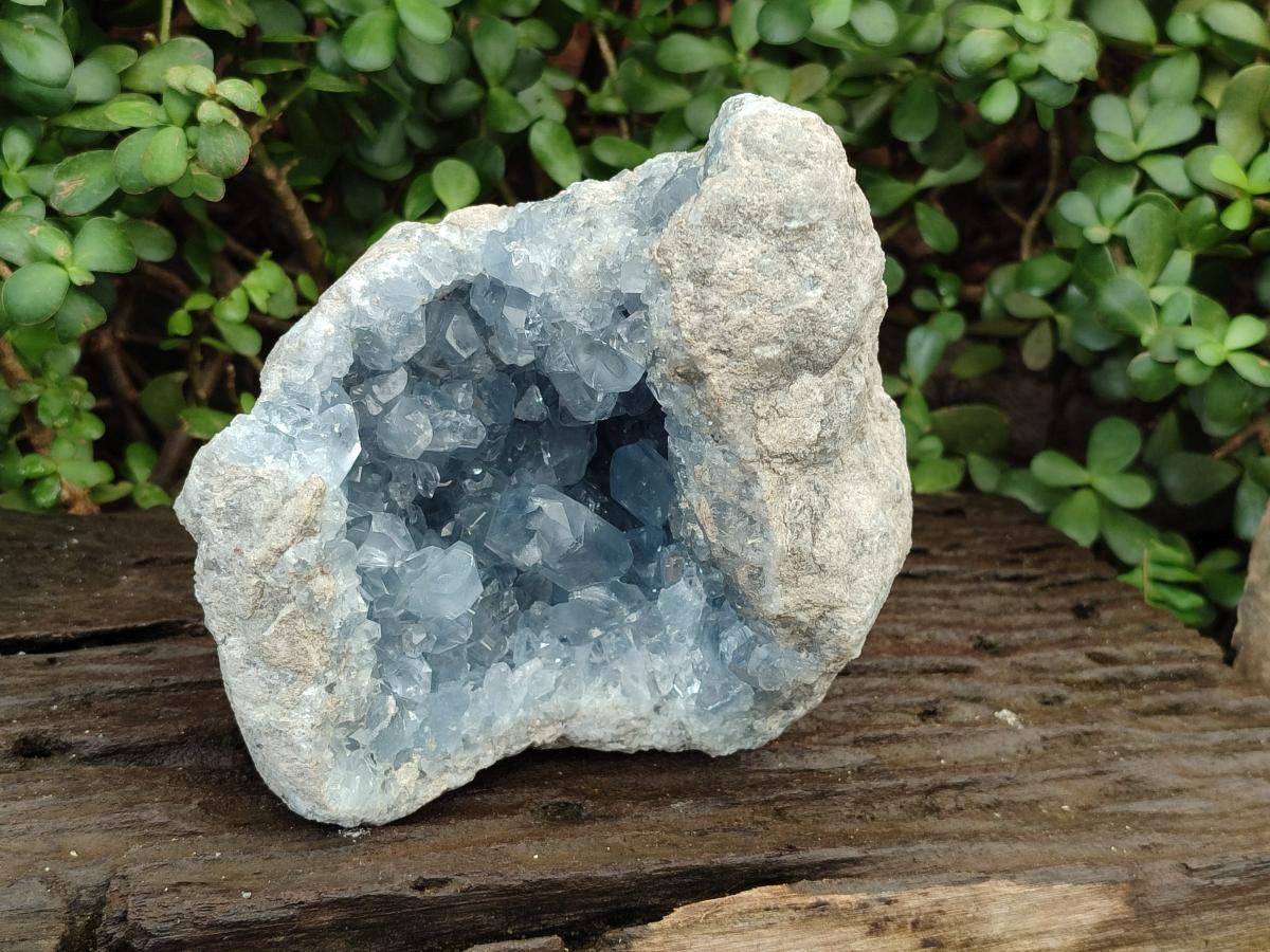 Natural Large Blue Celestite Geode Specimen x 1 From Sakoany, Madagascar - Toprock Gemstones and Minerals 