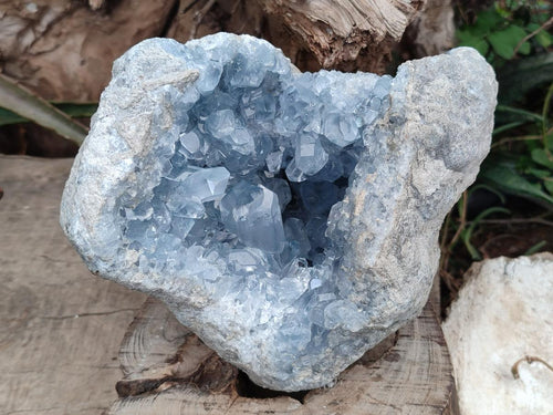 Natural Large Blue Celestite Geode Specimen x 1 From Sakoany, Madagascar - Toprock Gemstones and Minerals 