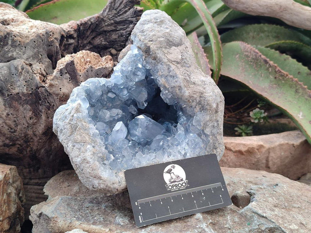 Natural Large Blue Celestite Geode Specimen x 1 From Sakoany, Madagascar - Toprock Gemstones and Minerals 