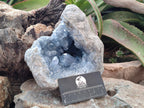 Natural Large Blue Celestite Geode Specimen x 1 From Sakoany, Madagascar - Toprock Gemstones and Minerals 
