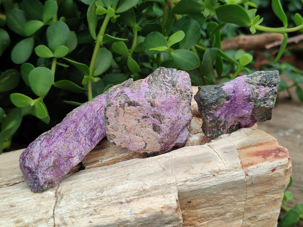 Natural Stichtite Cobbed Specimens x 2,02 Lot From Barberton, South Africa - Toprock Gemstones and Minerals 