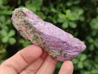 Natural Stichtite Cobbed Specimens x 2,02 Lot From Barberton, South Africa - Toprock Gemstones and Minerals 